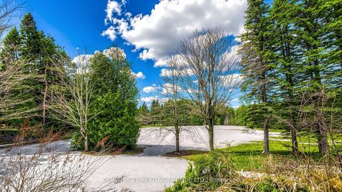 Photo 40 at 21455 Warden Avenue, Rural East Gwillimbury, East Gwillimbury