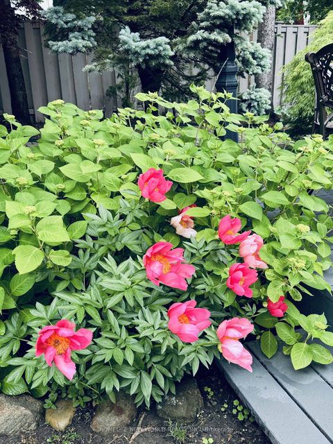 Photo 34 at 594 Woburn Avenue, Nortown, Toronto