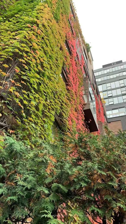 Photo 23 at 204 - 19 Dundonald Street, Yonge Corridor, Toronto