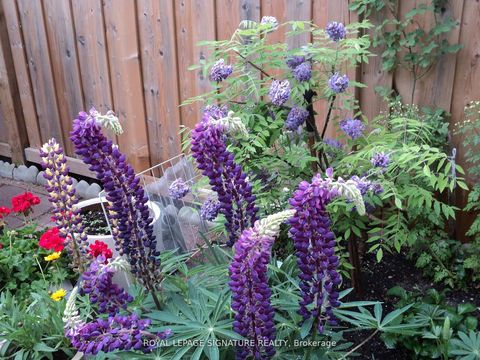 Photo 34 at 136 Cranbrooke Avenue, Lawrence Park North, Toronto