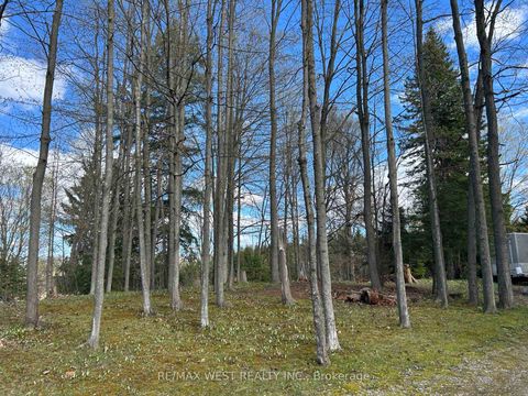 Photo 5 at 55 Elmpine Trail, Rural King, King