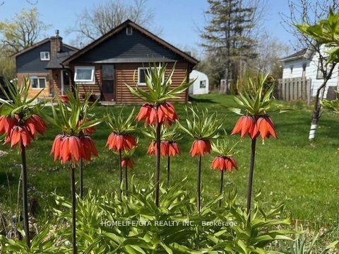 Photo 6 at 31474 Lakeridge Road, Pefferlaw, Georgina