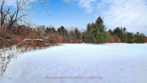Photo 37 at 31474 Lakeridge Road, Pefferlaw, Georgina