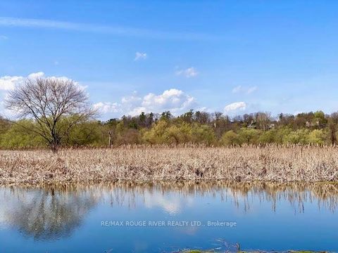 Photo 45 at 300 Taylor Road, Rouge E10, Toronto
