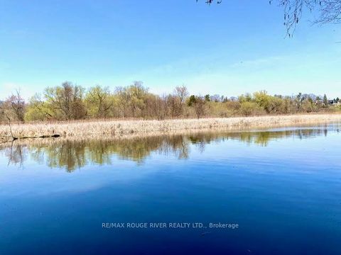 Photo 47 at 300 Taylor Road, Rouge E10, Toronto