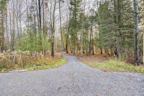 Photo 14 at 4909 Holborn Road, Rural East Gwillimbury, East Gwillimbury