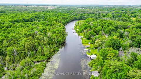 Photo 16 at 100 Dunkirk Avenue, Sutton & Jackson's Point, Georgina