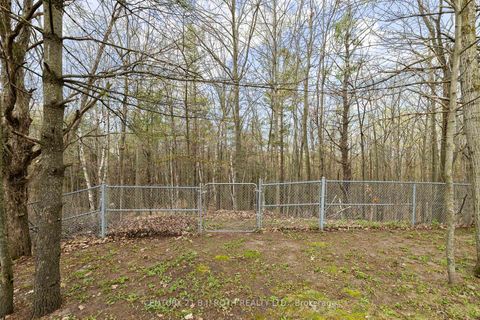 Photo 29 at 45 White Elm Road, Holly, Barrie