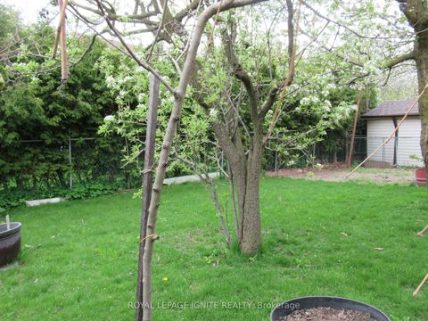 Photo 21 at 8 Newlove Court, Old Rexdale, Toronto