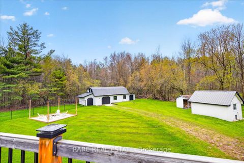 Photo 38 at 2570 Creemore Avenue, Rural Clearview, Clearview