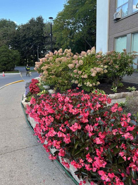 Photo 38 at 206 - 60 Pavane Linkway, Flemingdon Park, Toronto
