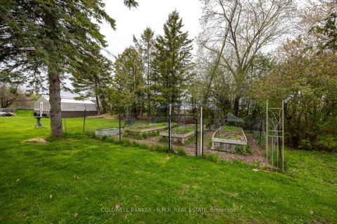 Photo 41 at 3591 Proutt Road, Rural Scugog, Scugog