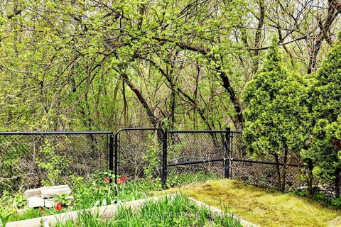 Photo 42 at 118 May Avenue, North Richvale, Richmond Hill