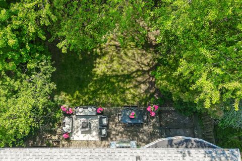 Photo 47 at 254 Forest Hill Road, Forest Hill South, Toronto