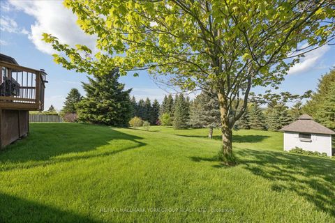 Photo 44 at 81 Samuel Lount Road, Holland Landing, East Gwillimbury