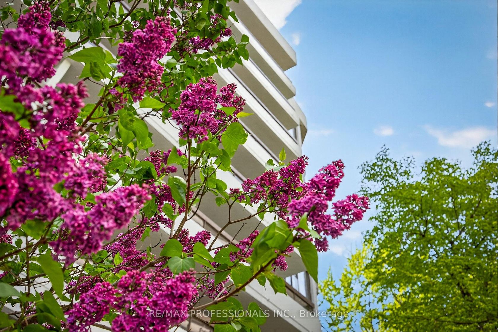 122 - 80 Quebec Avenue, High Park North, Toronto 