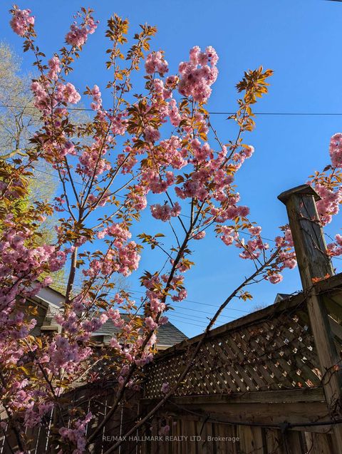 Photo 38 at 62 Doncaster Avenue, Lumsden, Toronto