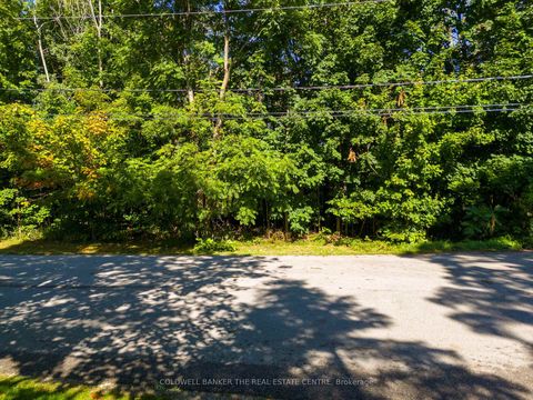 Photo 19 at Lot 30 & Part Lo Purvis Street, Rural Innisfil, Innisfil