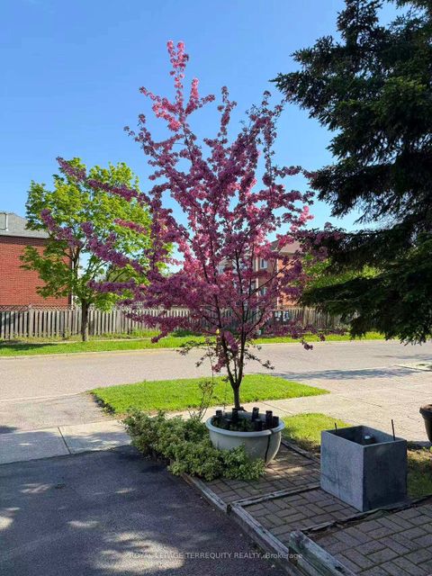 Photo 16 at 304 Charlton Avenue, Brownridge, Vaughan