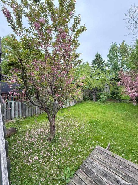 Photo 17 at 304 Charlton Avenue, Brownridge, Vaughan