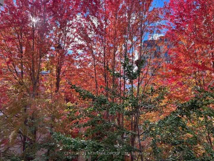 Photo 28 at 309 - 23 Rean Drive, Bayview Village, Toronto