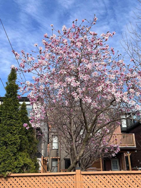 Photo 26 at 102 Gough Avenue, Danforth, Toronto