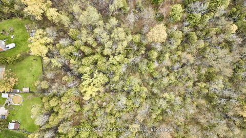 Photo 40 at 80 Davidge Drive, Rural Scugog, Scugog