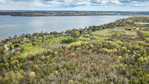 Photo 45 at 80 Davidge Drive, Rural Scugog, Scugog