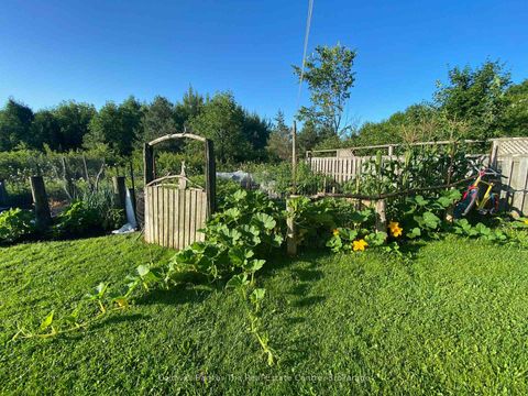 Photo 36 at 1229 County Road 124, Rural Clearview, Clearview
