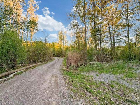 Photo 27 at 3370 Ravenshoe Road, Keswick South, Georgina