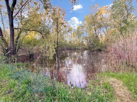 Photo 28 at 3370 Ravenshoe Road, Keswick South, Georgina