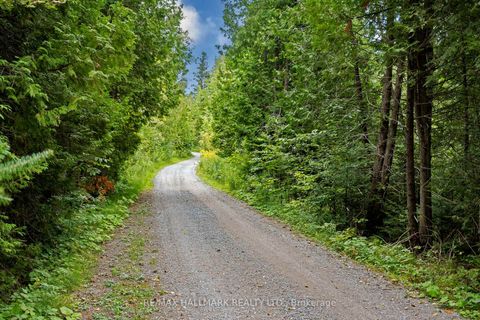 Photo 44 at 175 Concession 2 Road, Rural Brock, Brock