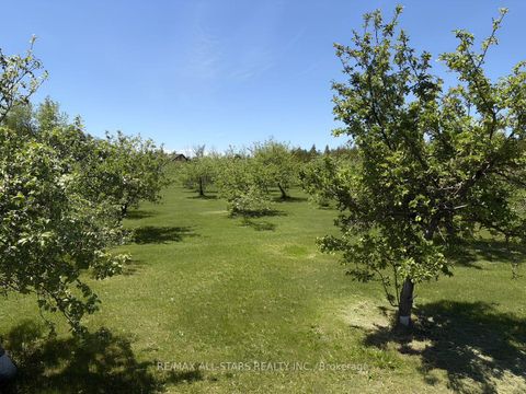 Photo 7 at 25472 Lakeridge Road, Pefferlaw, Georgina