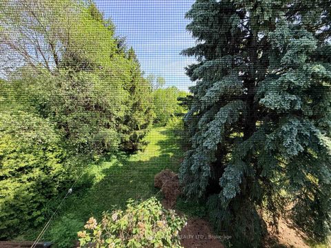 Photo 8 at 75 Spruce Avenue, South Richvale, Richmond Hill