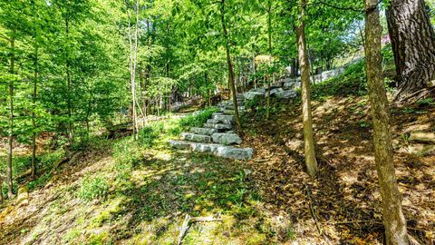 Photo 40 at 25 Bellehaven Crescent, Scarborough Village, Toronto