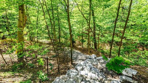 Photo 43 at 25 Bellehaven Crescent, Scarborough Village, Toronto