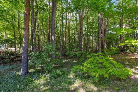 Photo 35 at 3724 Whitecap Drive, Rural Innisfil, Innisfil