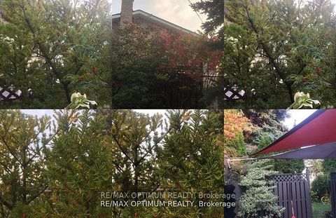 Photo 47 at 1 Dundee Drive, York University Heights, Toronto