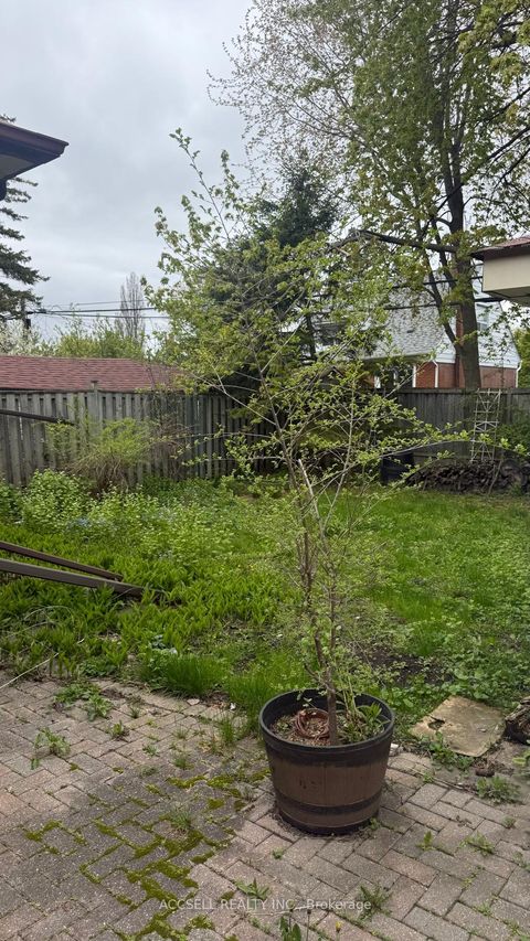 Photo 18 at 27 Ivordale Crescent, Maryvale, Toronto