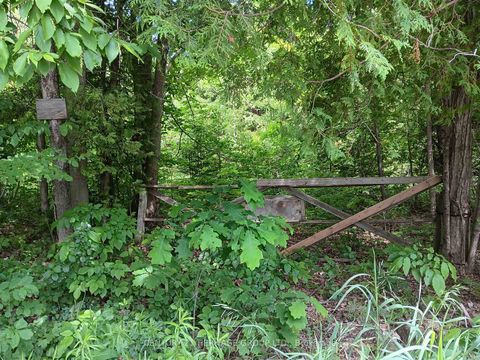 Photo 1 at 7 Line, Rural Innisfil, Innisfil