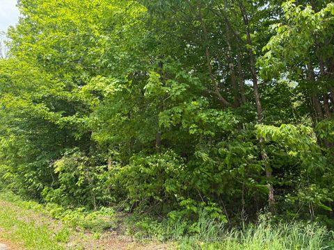 Photo 3 at 7 Line, Rural Innisfil, Innisfil