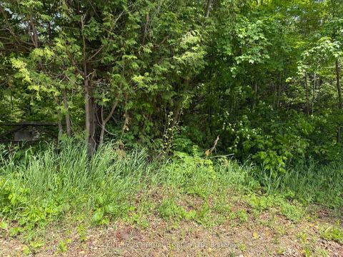 Photo 4 at 7 Line, Rural Innisfil, Innisfil