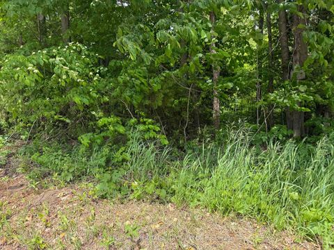 Photo 5 at 7 Line, Rural Innisfil, Innisfil
