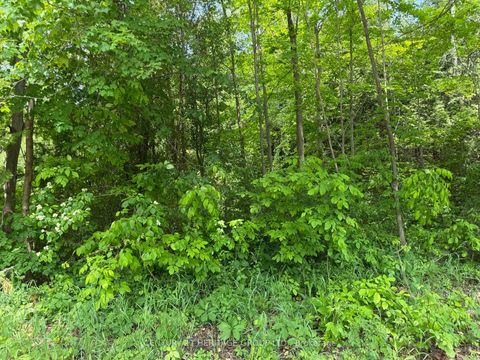 Photo 6 at 7 Line, Rural Innisfil, Innisfil