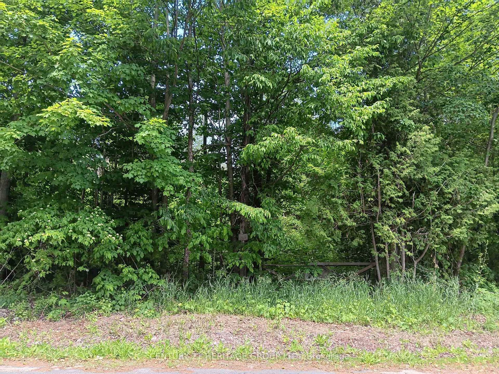 7 Line, Rural Innisfil, Innisfil photo 7
