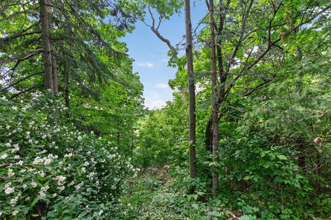 Photo 38 at 121 Saint Lucie Drive, Humbermede, Toronto