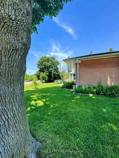 Photo 10 at 71 Lloyd Manor Road, Rosethorn, Toronto