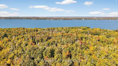 Photo 46 at 1707 Wilkinson Street, Rural Innisfil, Innisfil
