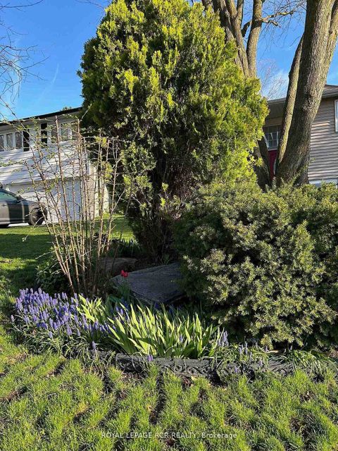 Photo 42 at 115 Beswick Drive, Central Newmarket, Newmarket