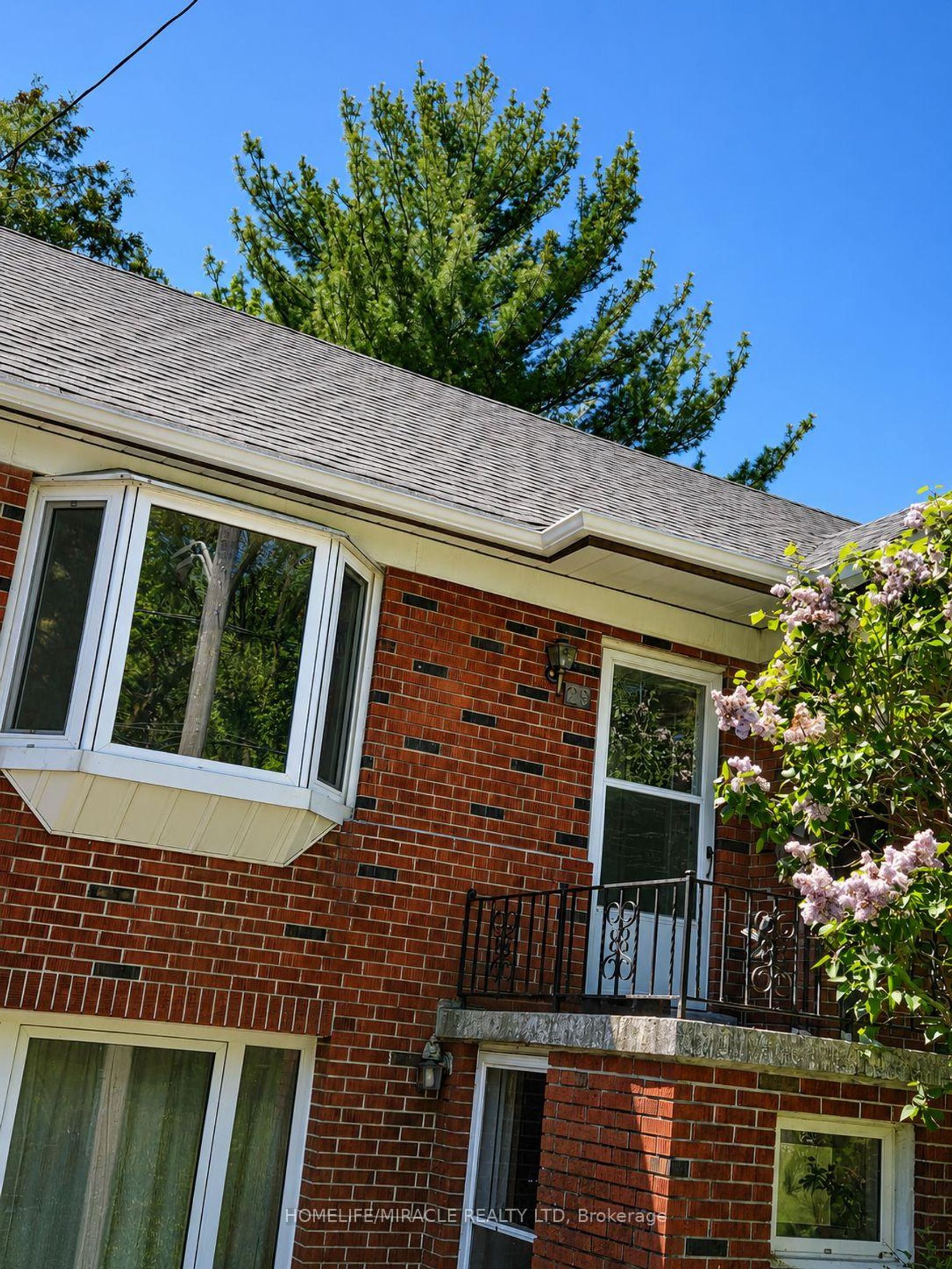 29 Codsell Avenue, Bathurst Manor, Toronto 